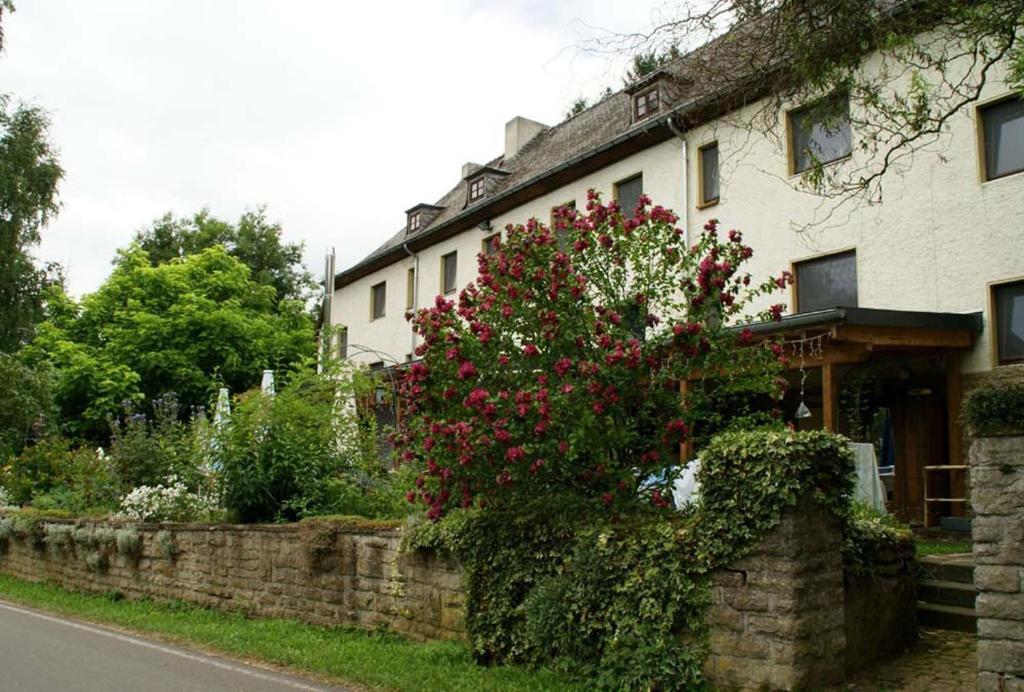 Altes Zollhaus Naehe Luxemburg Hotell Ammeldingen an der Our Exteriör bild